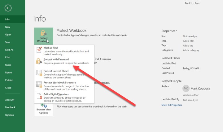 Excel 2016 Protect Workbook options